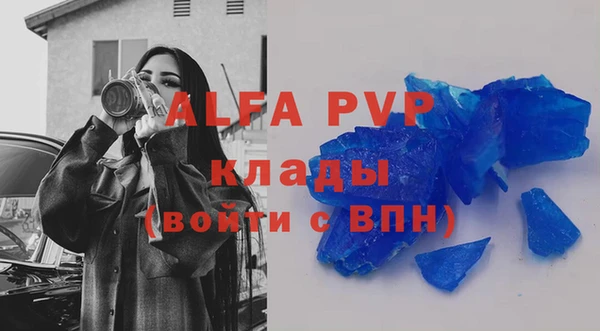 стаф Алзамай