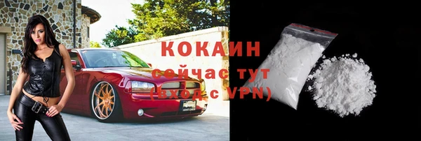 ECSTASY Покачи