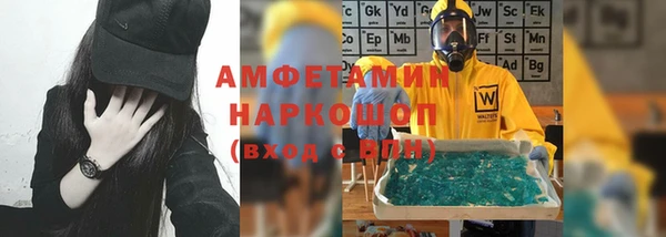 стаф Алзамай