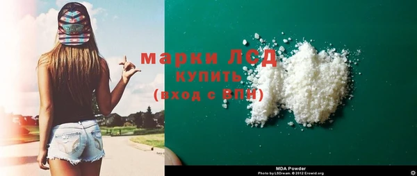 стаф Алзамай