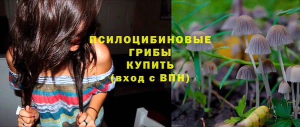 стаф Алзамай