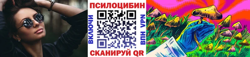 Псилоцибиновые грибы Cubensis  OMG ссылка  Николаевск 